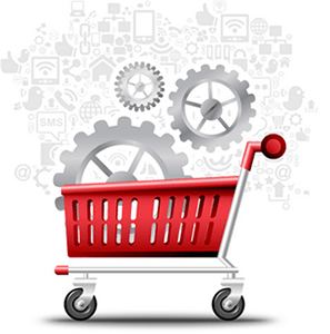 E-commerce with A Professionally Customized Look, Superb Functionality